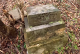 Ferrell, Burbus Clinton Cem fag_ Ferrell, Burbus Clinton Cem fag_