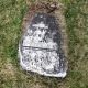 Alvah HALL headstone, the only one left in the original Hall Family cemetery on the West Five Mile(?) in Allegany, NY Alvah HALL headstone, the only one left in the original Hall Family cemetery on the West Five Mile(?) in Allegany, NY