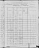 census 1880 USA PA Potter Harrison 103_457C Stephen Edwards.jpg